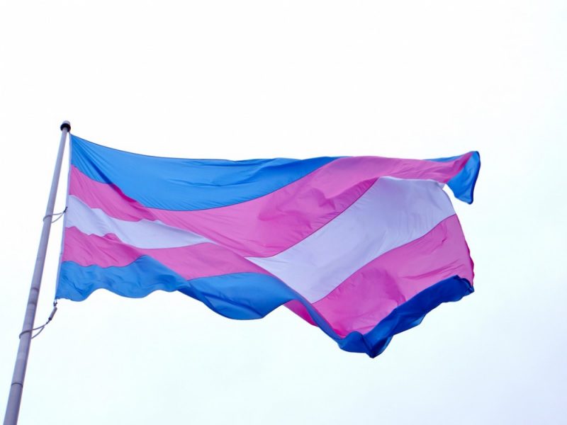Rektörlük diploma değişikliği talebini reddetti, Mahkeme yürütmeyi durdurdu Kaos GL - LGBTİ+ Haber Portalı