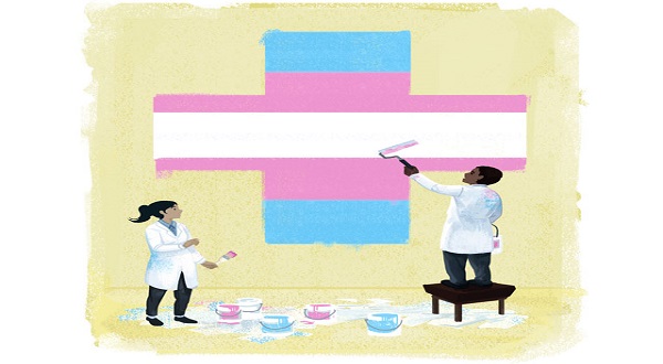 “Bu kılavuz, translara yönelik psiko-sosyal destek mekanizmalarına doğru yöntemler sunuyor" Kaos GL - LGBTİ+ Haber Portalı