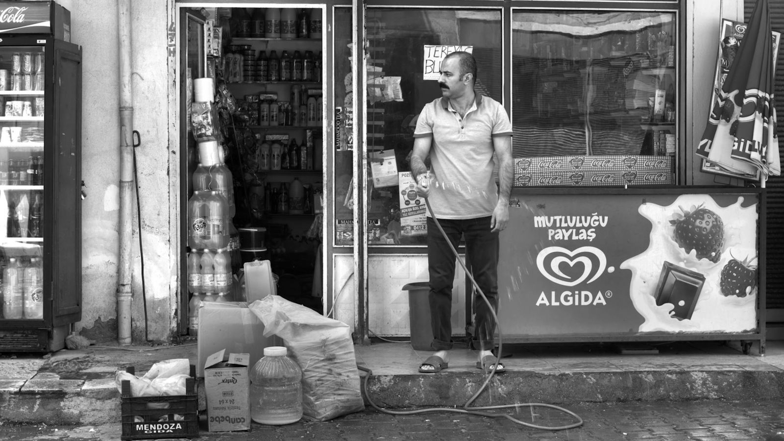 Veşartî Hamburg&rsquo;dan ödülle döndü Kaos GL - LGBTİ+ Haber Portalı