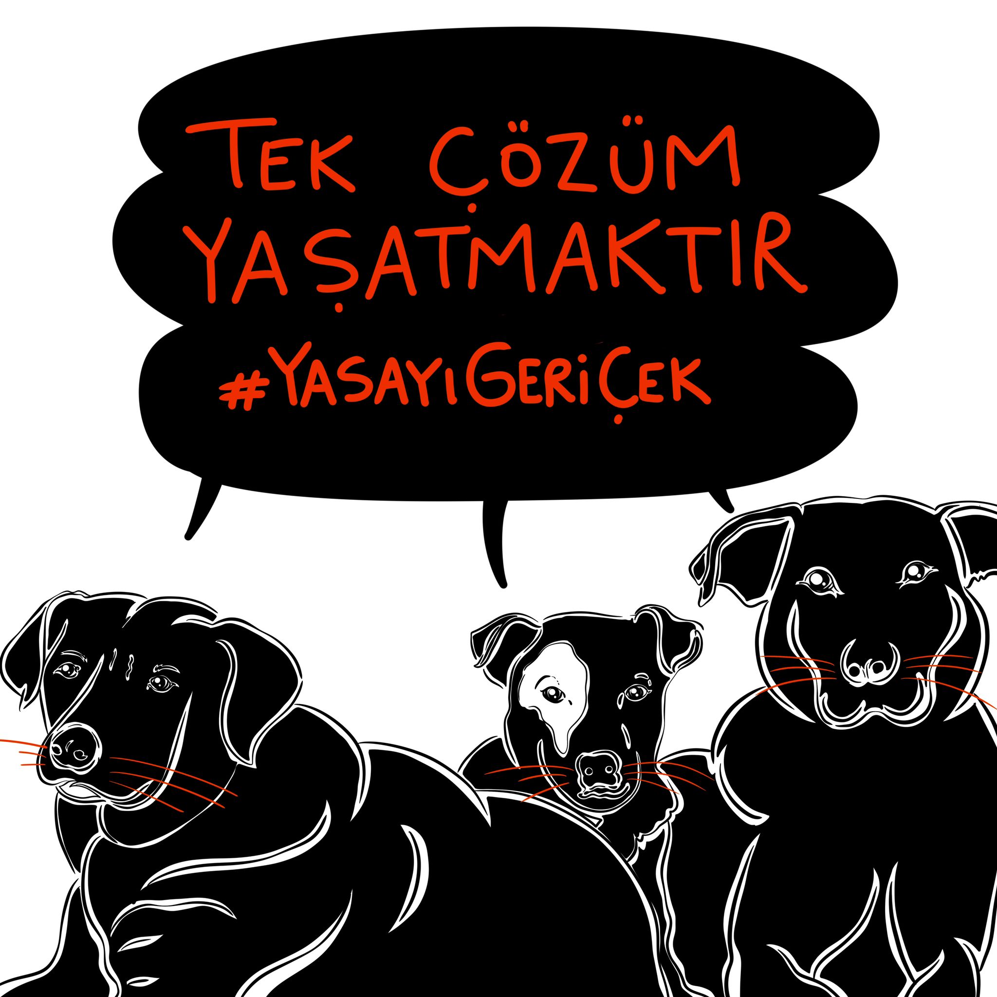 Tek çözüm yaşatmaktır | Kaos GL - LGBTİ+ Haber Portalı Gökkuşağı Forumu Köşe Yazısı