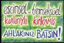 Ulaş Sona | Kaos GL - LGBTİ+ Haber Portalı Gökkuşağı Forumu Köşe Yazarı